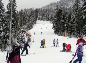 Cypress Mountain滑雪