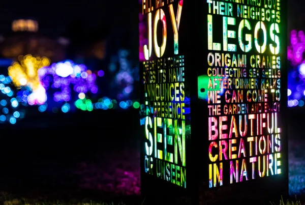 免費的互動光影藝術節將重返溫哥華 2 光影藝術節